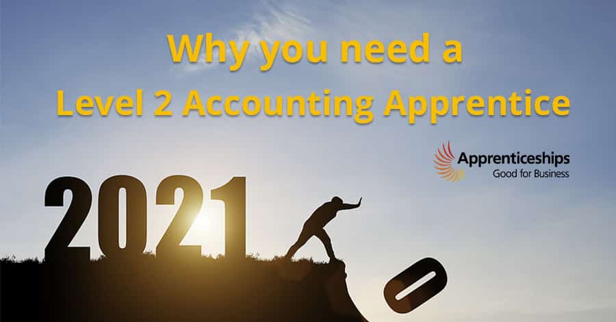 Accounting Apprentice