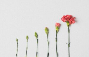 ROI of accounting apprenticeships